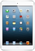 iPad mini 16Gb Wi-Fi + Cellular